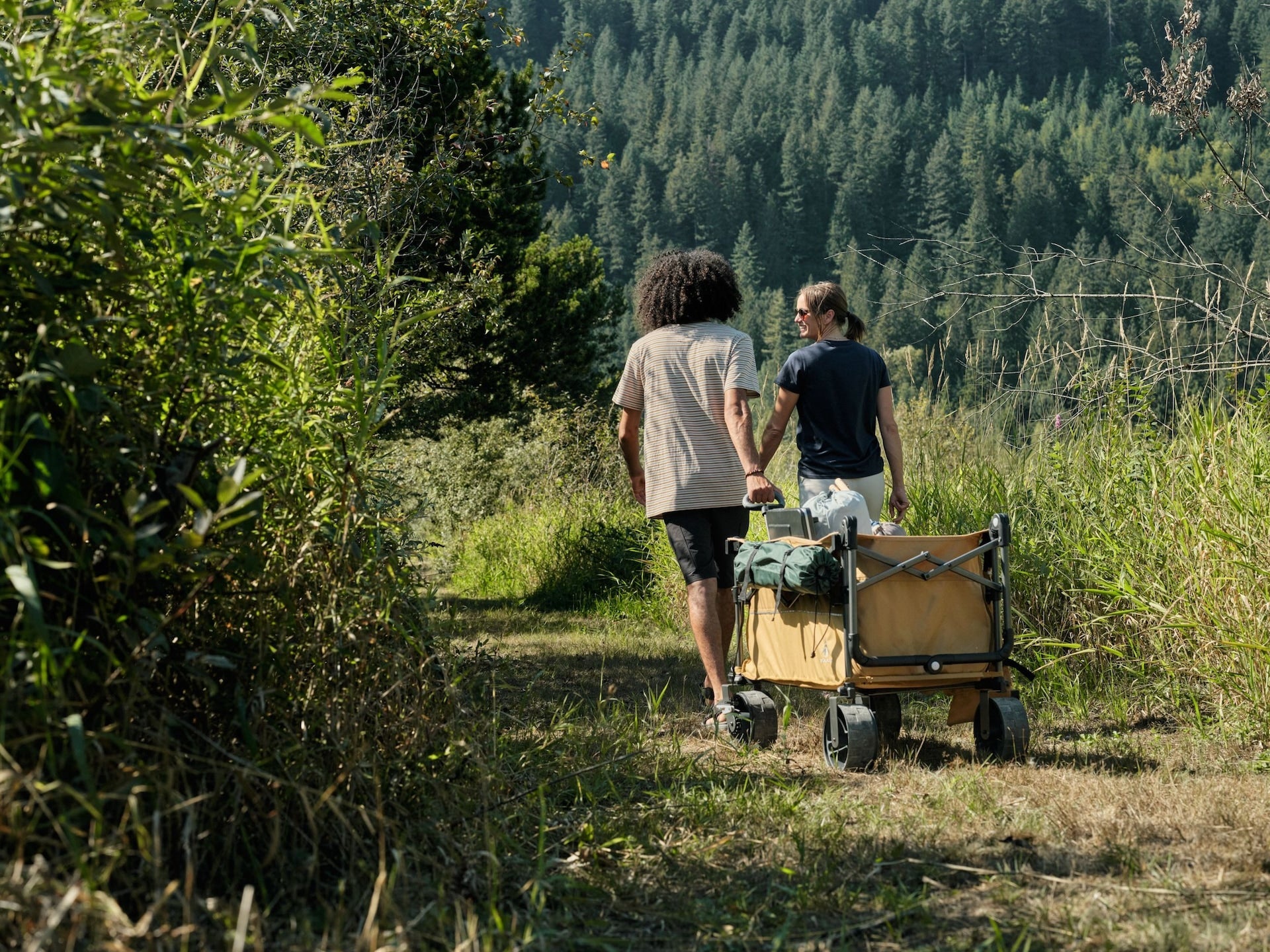 Woods Overlander Fully Equipped Folding Wagon, 102-kg Capacity