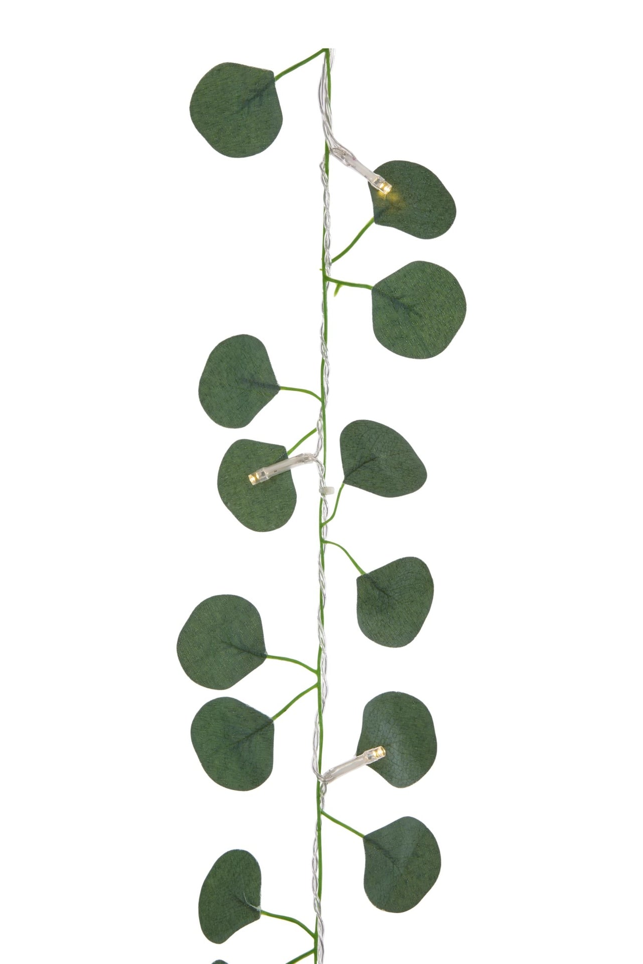 For Living Outdoor 12-Strand Warm White LED Curtain String Lights with Eucalyptus Leaves, 11.48-ft